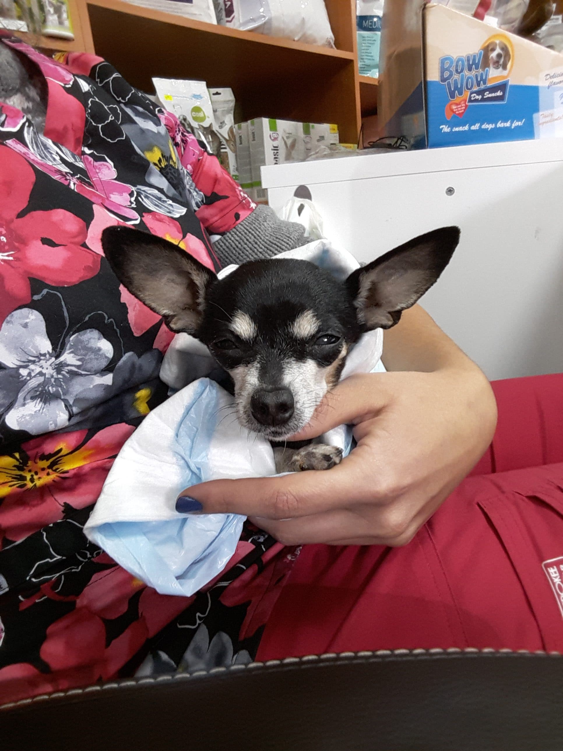 Let's Talk About Neutering