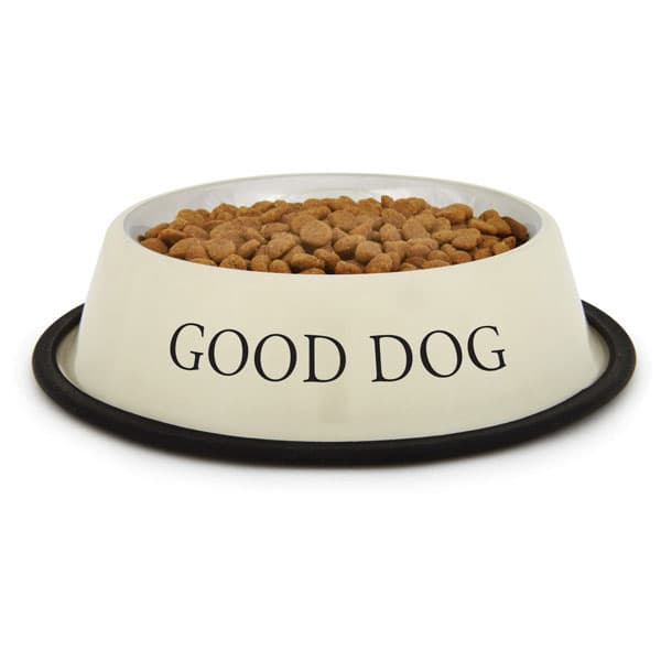 What We Need to Know About Feeding Dogs