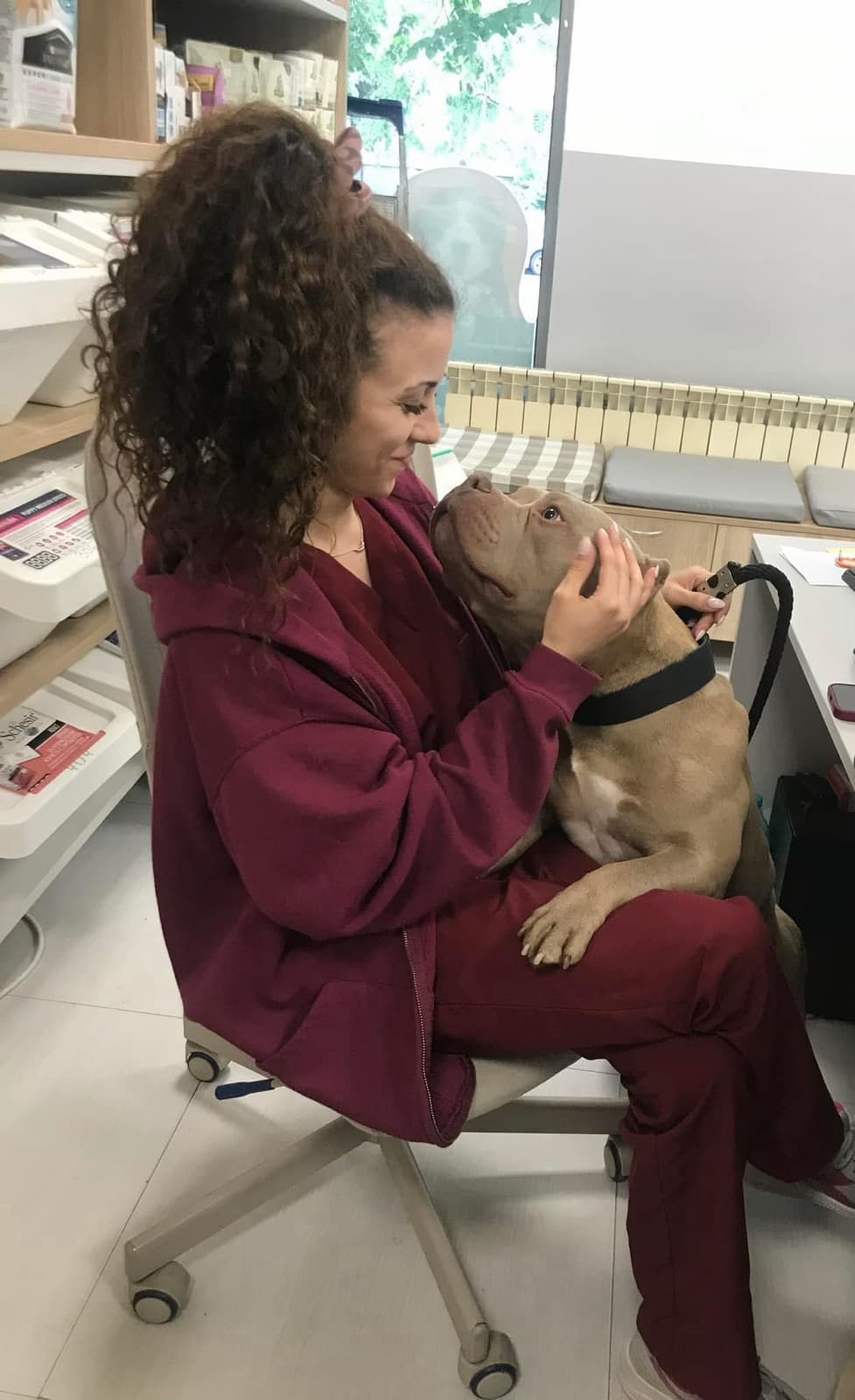 Ветеринарна клиника JulyVet