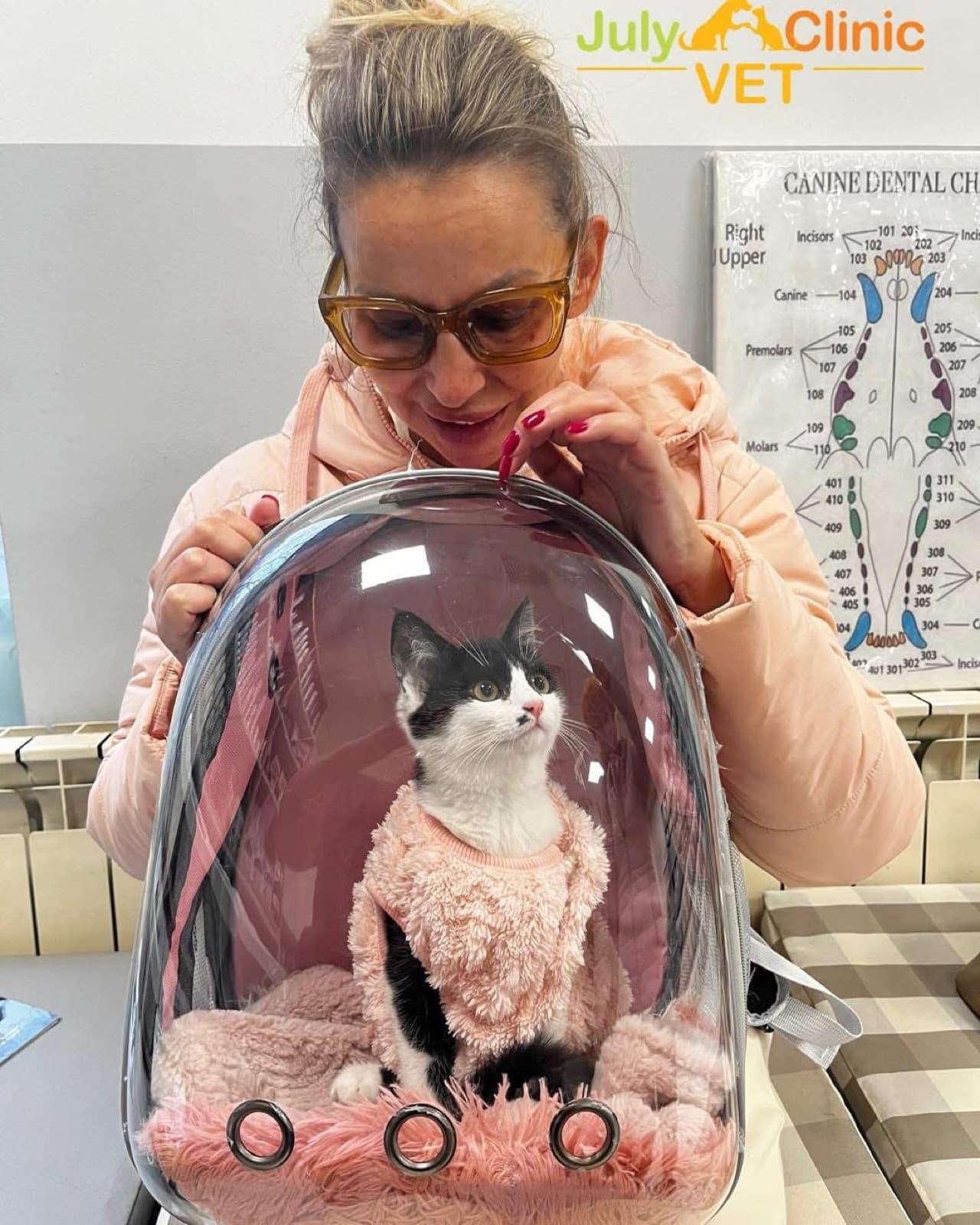 Ветеринарна клиника JulyVet